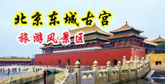 毛片.wwwww中国北京-东城古宫旅游风景区